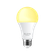 Lampada_EPPG24-2-